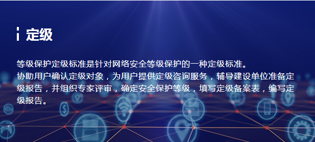 等级-保护定级
